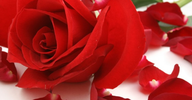  Horoscopul fetelor singure pentru 2013 