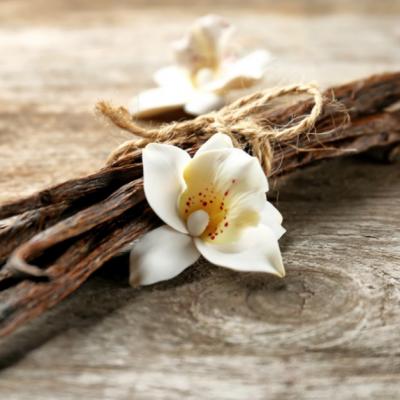 Vanilia, condimentul pe care trebuie să îl ai în bucătărie