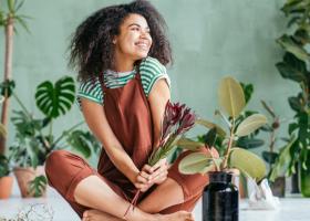 Natura este mai aproape de tine cu ajutorul unor plante de apartament!