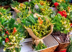 Misterul vâscului: simbol al iubirii și protecției de Anul Nou