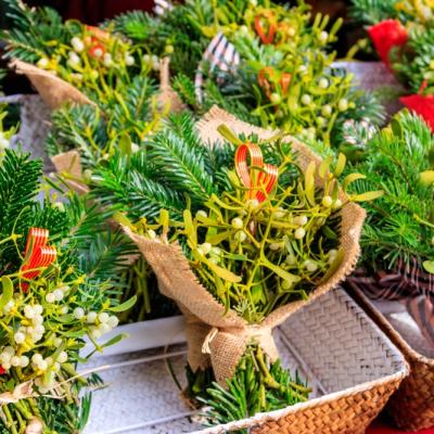 Misterul vâscului: simbol al iubirii și protecției de Anul Nou