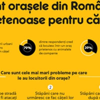 Studiu Mars: Orașe mai bune pentru animalele de companie