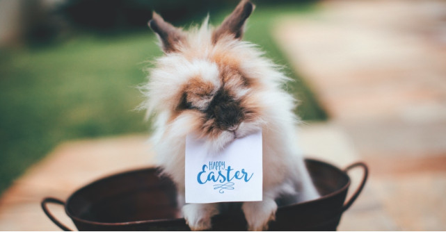 Nu stiti ce sa faceti de Paste 2022? Iata doza de inspiratie: activitati relaxante, ce te vor face sa te simti in vacanta