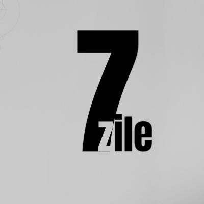 7 zile pe repeat cu florianrus și INNA