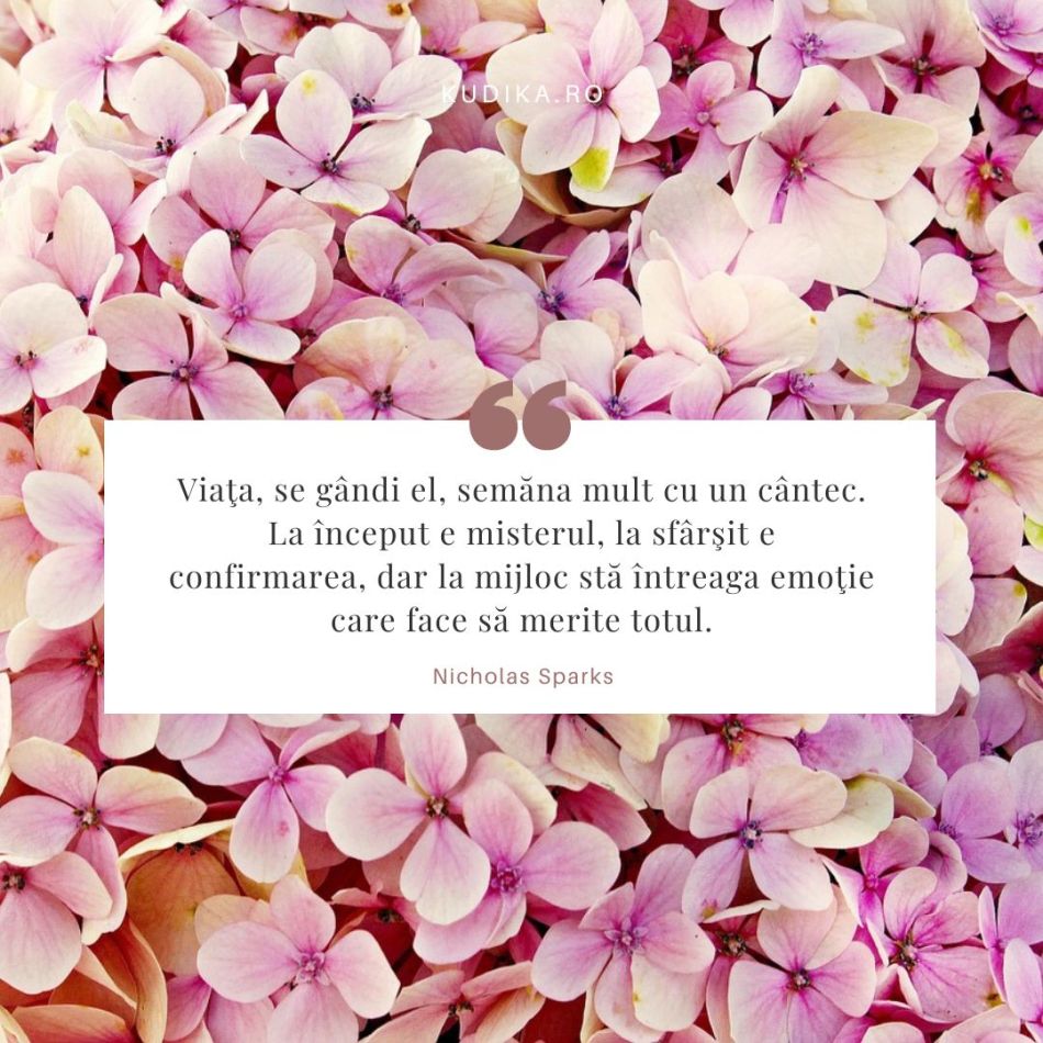 Adevărata dragoste este rară și este singurul lucru care dă vieții sens – 20 de citate despre iubire de Nicholas Sparks