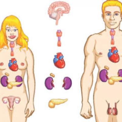 22 de lucruri inedite despre fiinta umana!