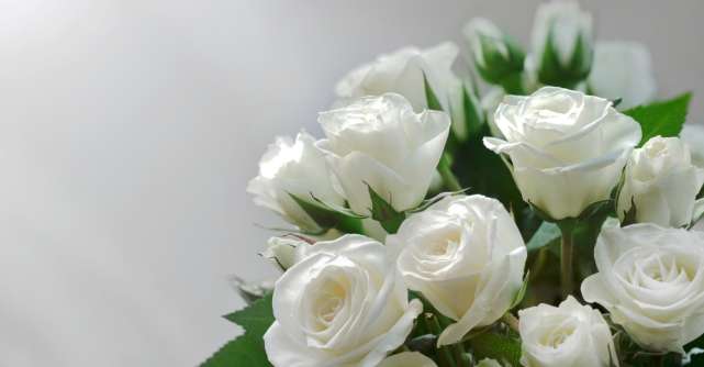 Semnificația trandafirilor albi și când să-i oferi