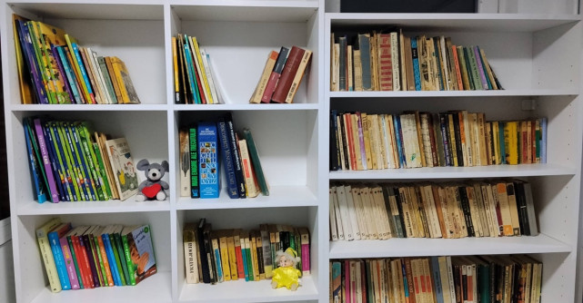 SE POATE ȘI LA NOI! O femeie din București a deschis o bibliotecă în scara blocului. Vecinii  împrumută cărți de la ea