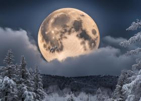 1 Decembrie, prima Luna Nouă a iernii 2024. Începuturi fulgerătoare pentru toate zodiile. Divinitatea ne cere să avem curaj!