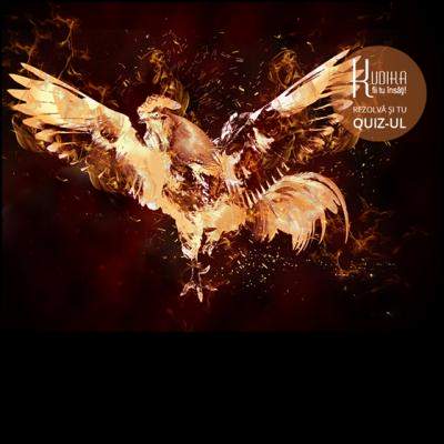 Oracolul chinezesc: Ce iti aduce Cocosul de Foc? 