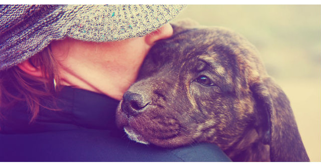 Si-a mintit fiul ca duce cainele familiei la o plimbare. Ce a urmat? Mi-au dat lacrimile