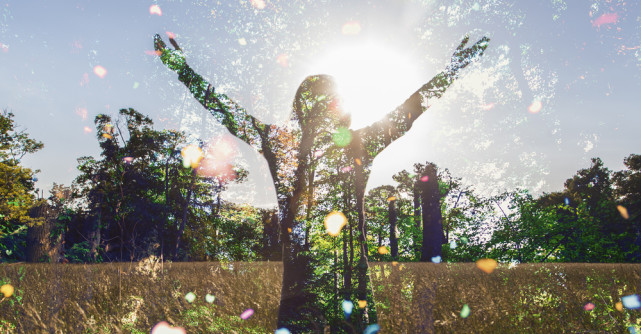 Wayne Dyer te învață cum să îți creezi un decembrie plin de iubire și armonie