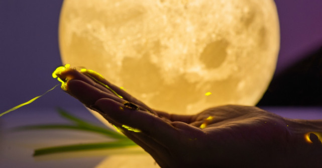 7 Mantre puternice pentru fiecare zi a saptamanii (30 decembrie - 5 ianuarie)