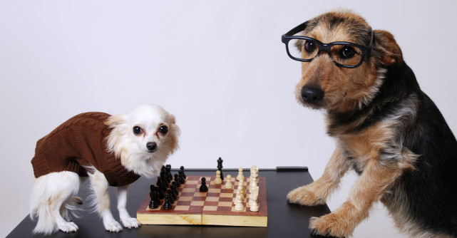 25 jocuri de societate, jocuri educative și board games