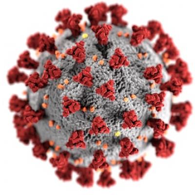 Cum arată Finalul Pandemiei din perspectiva unui medic infecționist?