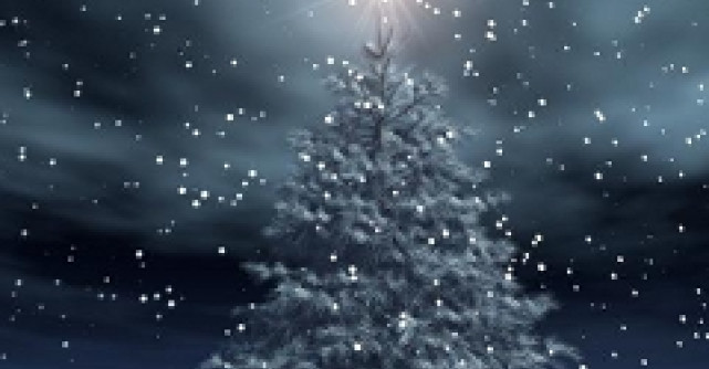 Imparte bucurie impreuna cu Magazinul de Brazi!