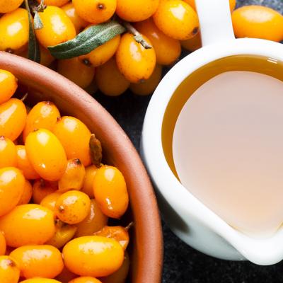 Cum și pentru ce putem utiliza CĂTINA – Ginsengul Românesc?