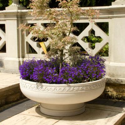 Practic: cum poti folosi culoarea mov in gradina