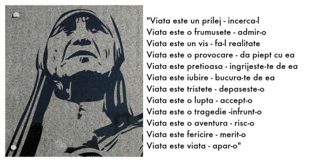 Aceste 15 citate de la Maica Tereza iti vor aduce liniste in suflet