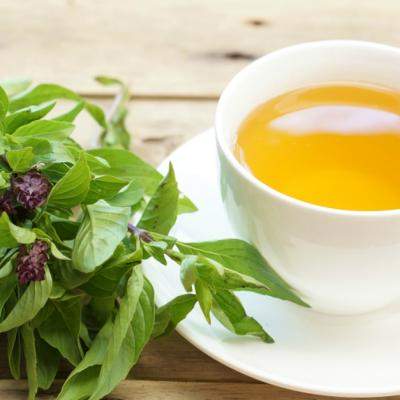 Care sunt indicațiile terapeutice are ceaiului de busuioc