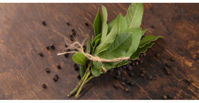 9 lucruri pe care le poti face cu cateva frunze de dafin. Cum iti pot salva viata