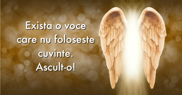 15 Lectii de viata de la Rumi pentru a reduce stresul in perioada sarbatorilor