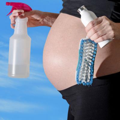 Sarcina si produsele de curatenie