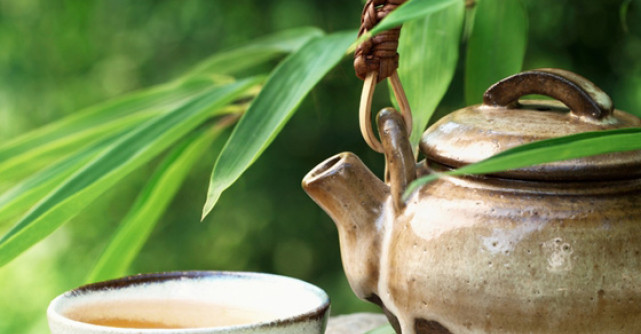 5 Plante medicinale care alunga DURERILE DE CAP