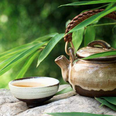 5 Plante medicinale care alunga DURERILE DE CAP