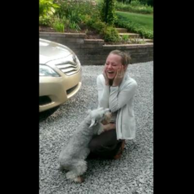 Video EMOTIONANT: UN catel a lesinat dupa ce si-a revazut stapana, plecata de doi ani