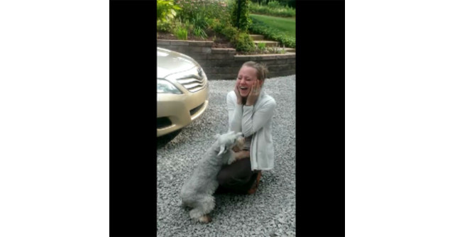 Video EMOTIONANT: UN catel a lesinat dupa ce si-a revazut stapana, plecata de doi ani