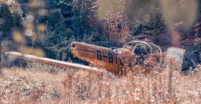 TRAGEDIE AVIATICĂ ÎN VASLUI | Un avion de mici dimensiuni s-a prăbușit într-o zonă împădurită. Pilotul a murit pe loc