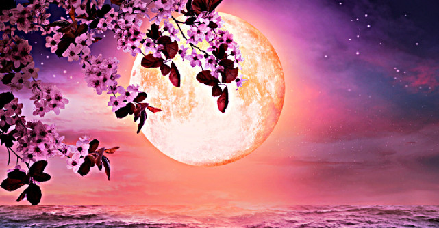 Prima Luna Noua a primaverii. Mai avem la dispozitie 48 de ore pentru a profita de energia ei eliberatoare si vindecatoare 