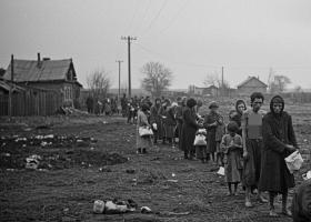 Anii în care oamenii au mâncat coajă de copac: Adevărul dureros despre Foametea din 1946–1947