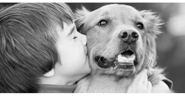 De ce cainii traiesc mai putin decat oamenii?