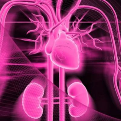 5 moduri simple prin care iti poti proteja RINICHII si INIMA