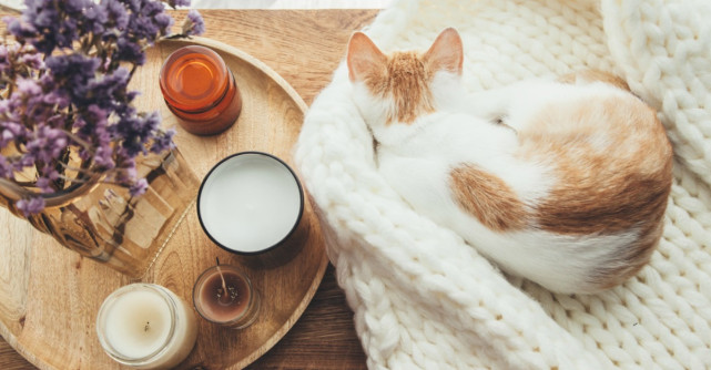 10 Schimbări mărunte (dar de impact) pe care le poți face în casa ta pentru o viață mult mai simplă și mai fericită