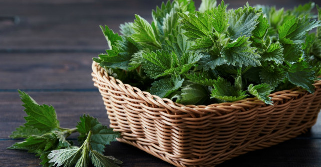 5 plante care țin glicemia sub control