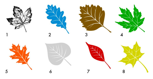 Alege o frunza de toamna si noi o sa iti spunem tot ce nu stiai despre tine