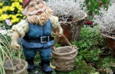 Quiz: Ce fel de poveste esti tu?