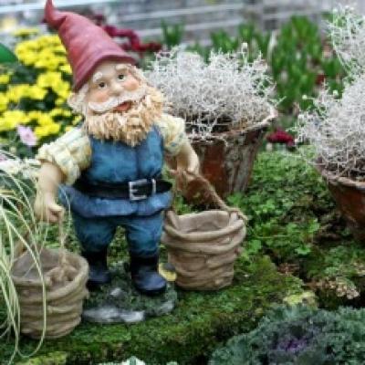 Quiz: Ce fel de poveste esti tu?