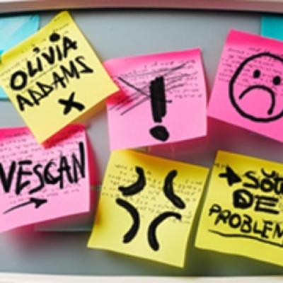 Olivia Addams și Vescan sunt Sătui de probleme