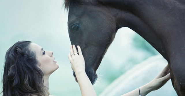 Horoscopul chinezesc pentru 2014: Anul Calului de Lemn