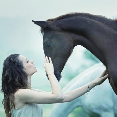 Horoscopul chinezesc pentru 2014: Anul Calului de Lemn