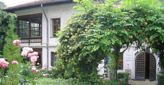Muzeul Theodor Pallady se redeschide de astăzi