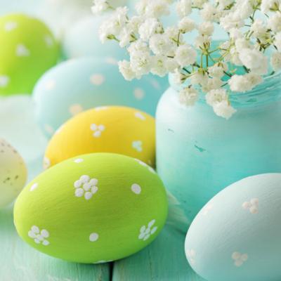 5 Curiozitati SANATOASE despre... OU 