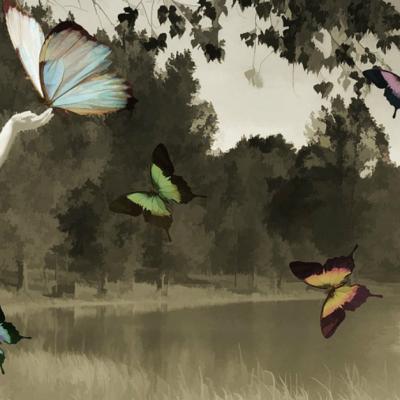 6 Schimbari de care te bucuri doar in momentul in care mintea, trupul si sufletul sunt in armonie