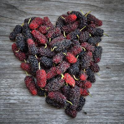 Beneficiile UIMITOARE ale DUDELOR: peste 500 de studii medicale le atesta