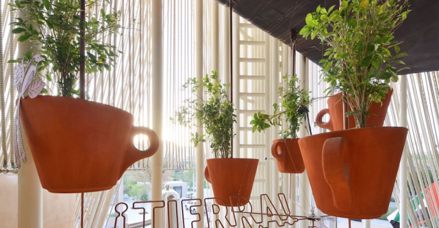 Lavazza încheie un parteneriat cu pavilionul Italiei din cadrul expo Dubai 2020: Grădina Solară de Cafea 