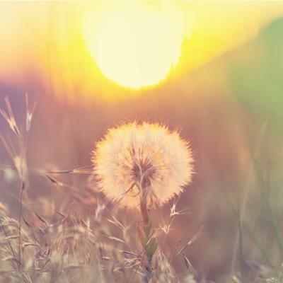 Proverbe despre viață care te vor ajuta în anii petrecuți pe Pământ